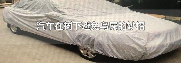 汽车在树下避免鸟屎的妙招