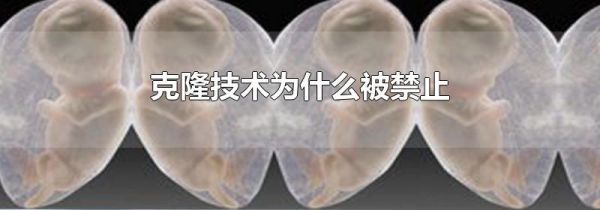 克隆技术为什么被禁止