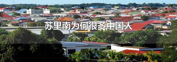 苏里南为何很多中国人