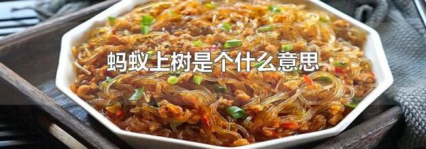 蚂蚁上树是个什么意思