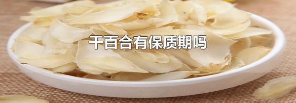 干百合有保质期吗