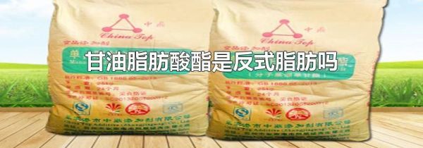 甘油脂肪酸酯是反式脂肪吗