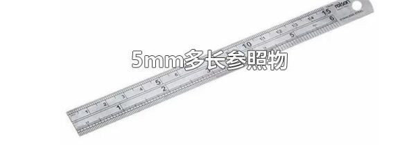 5mm多长参照物