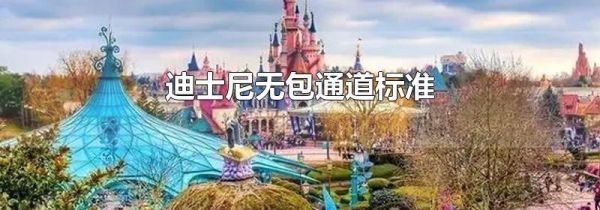 迪士尼无包通道标准