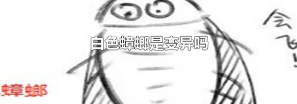白色蟑螂是变异吗