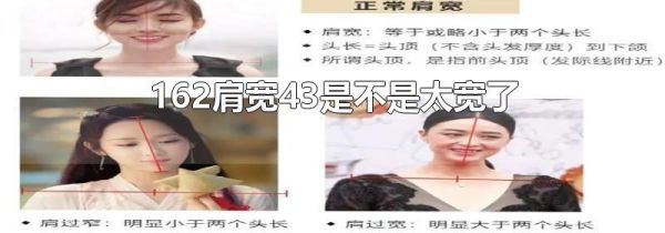 162肩宽43是不是太宽了