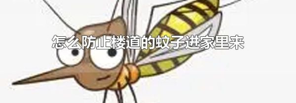 怎么防止楼道的蚊子进家里来