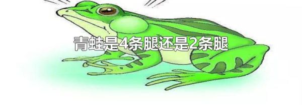青蛙是4条腿还是2条腿
