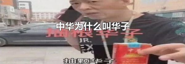 中华为什么叫华子