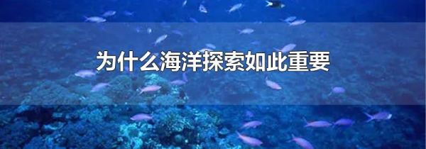 为什么海洋探索如此重要