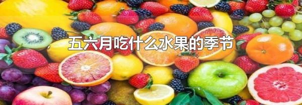 五六月吃什么水果的季节