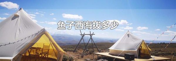 鱼子西海拔多少