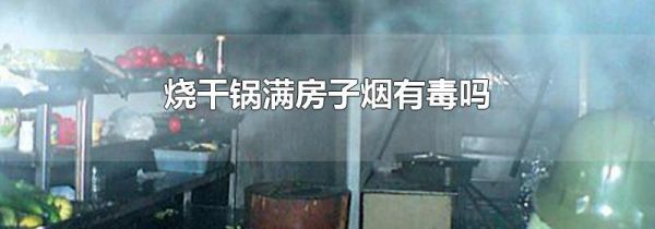 烧干锅满房子烟有毒吗