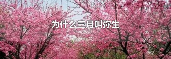 为什么三月叫弥生