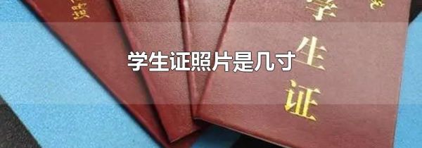 学生证照片是几寸