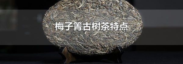 梅子箐古树茶特点