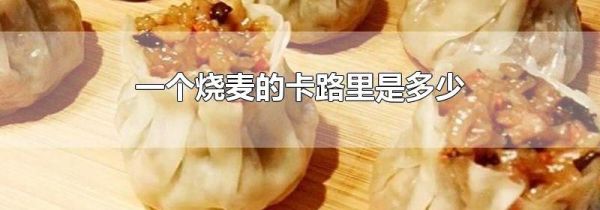 一个烧麦的卡路里是多少