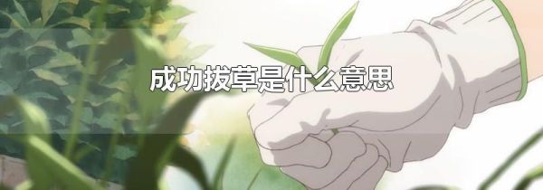 成功拔草是什么意思