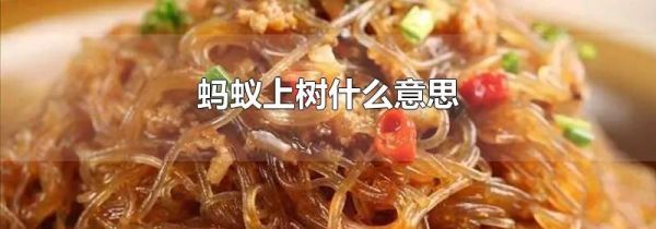 蚂蚁上树什么意思