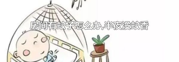 房间有蚊子怎么办,半夜没蚊香