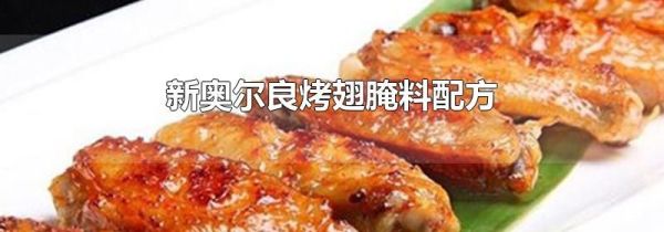新奥尔良烤翅腌料配方