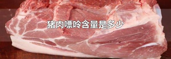 猪肉嘌呤含量是多少