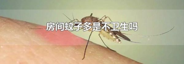 房间蚊子多是不卫生吗