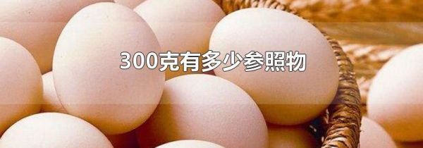 300克有多少参照物