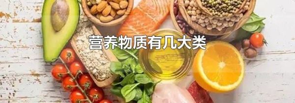 营养物质有几大类