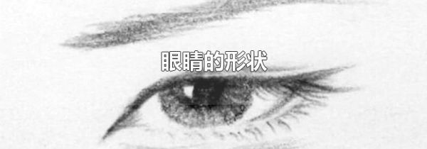 眼睛的形状