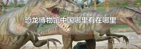 恐龙博物馆中国哪里有在哪里