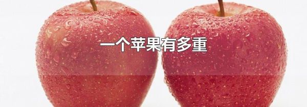 一个苹果有多重
