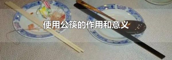 使用公筷的作用和意义