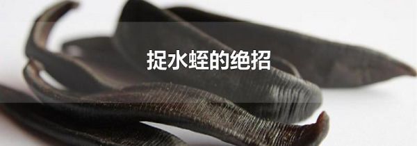 捉水蛭的绝招