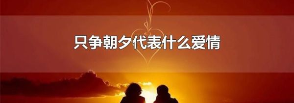 只争朝夕代表什么爱情