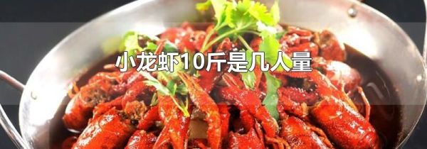 小龙虾10斤是几人量