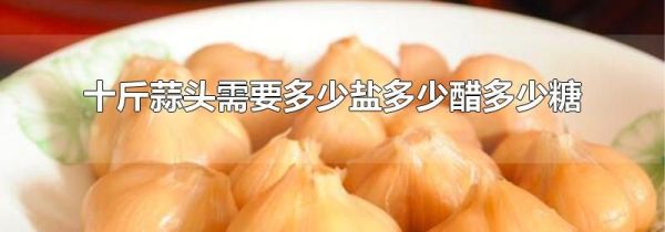 十斤蒜头需要多少盐多少醋多少糖
