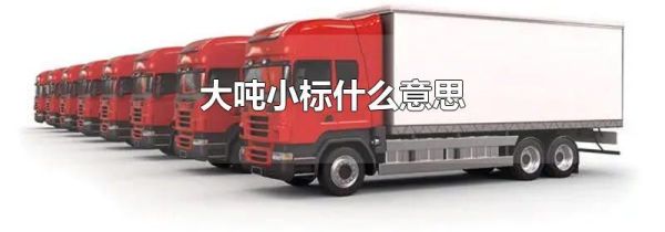 大吨小标什么意思