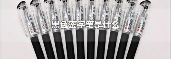 黑色签字笔是什么