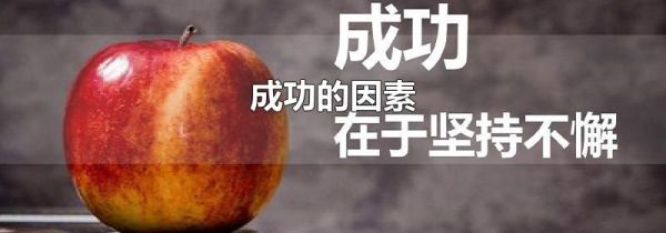 成功的因素