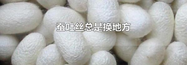 蚕吐丝总是换地方