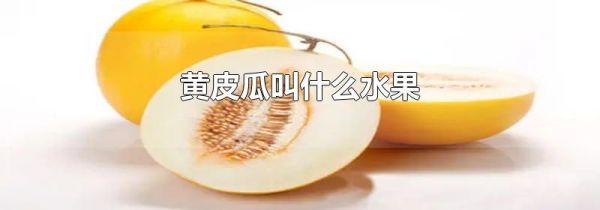 黄皮瓜叫什么水果