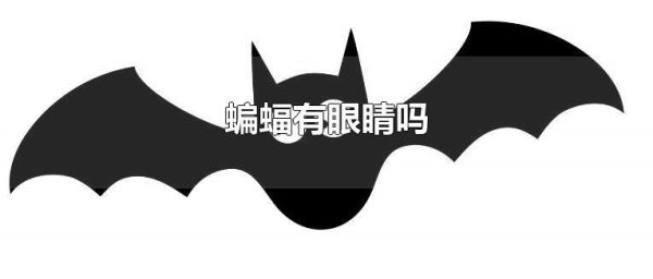 蝙蝠有眼睛吗