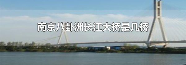 南京八卦洲长江大桥是几桥