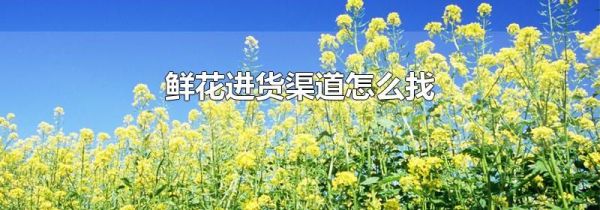 鲜花进货渠道怎么找