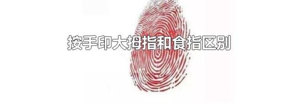 按手印大拇指和食指区别