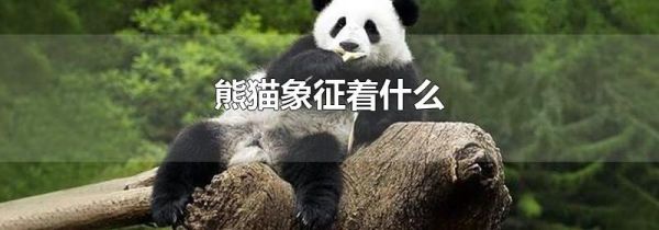 熊猫象征着什么