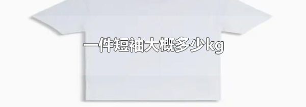 一件短袖大概多少kg