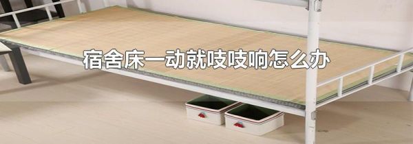 宿舍床一动就吱吱响怎么办