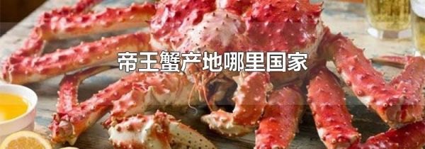 帝王蟹产地哪里国家